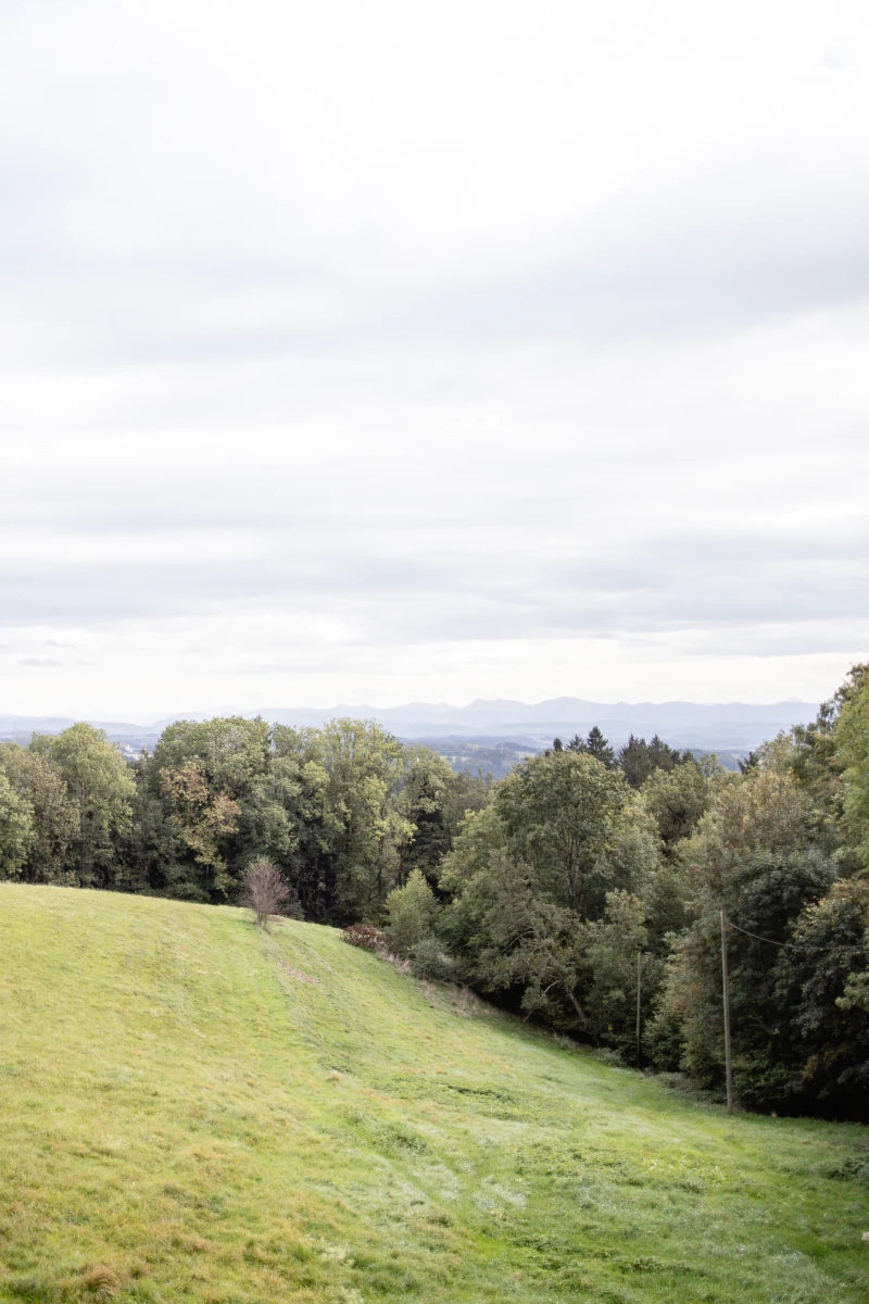 Fermentationskurs im Studio Berge