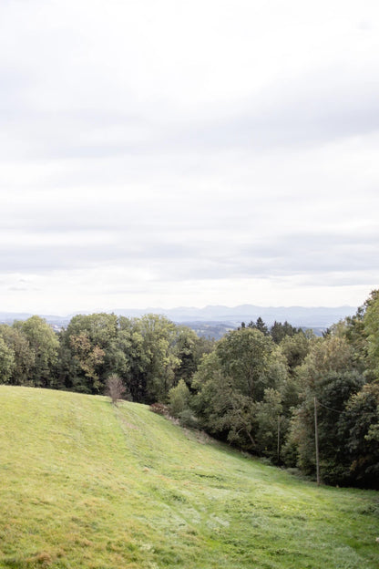 Fermentationskurs im Studio Berge