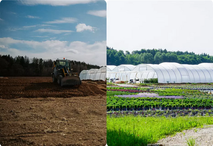 Fermentationskurs Gartencenter Kiefl