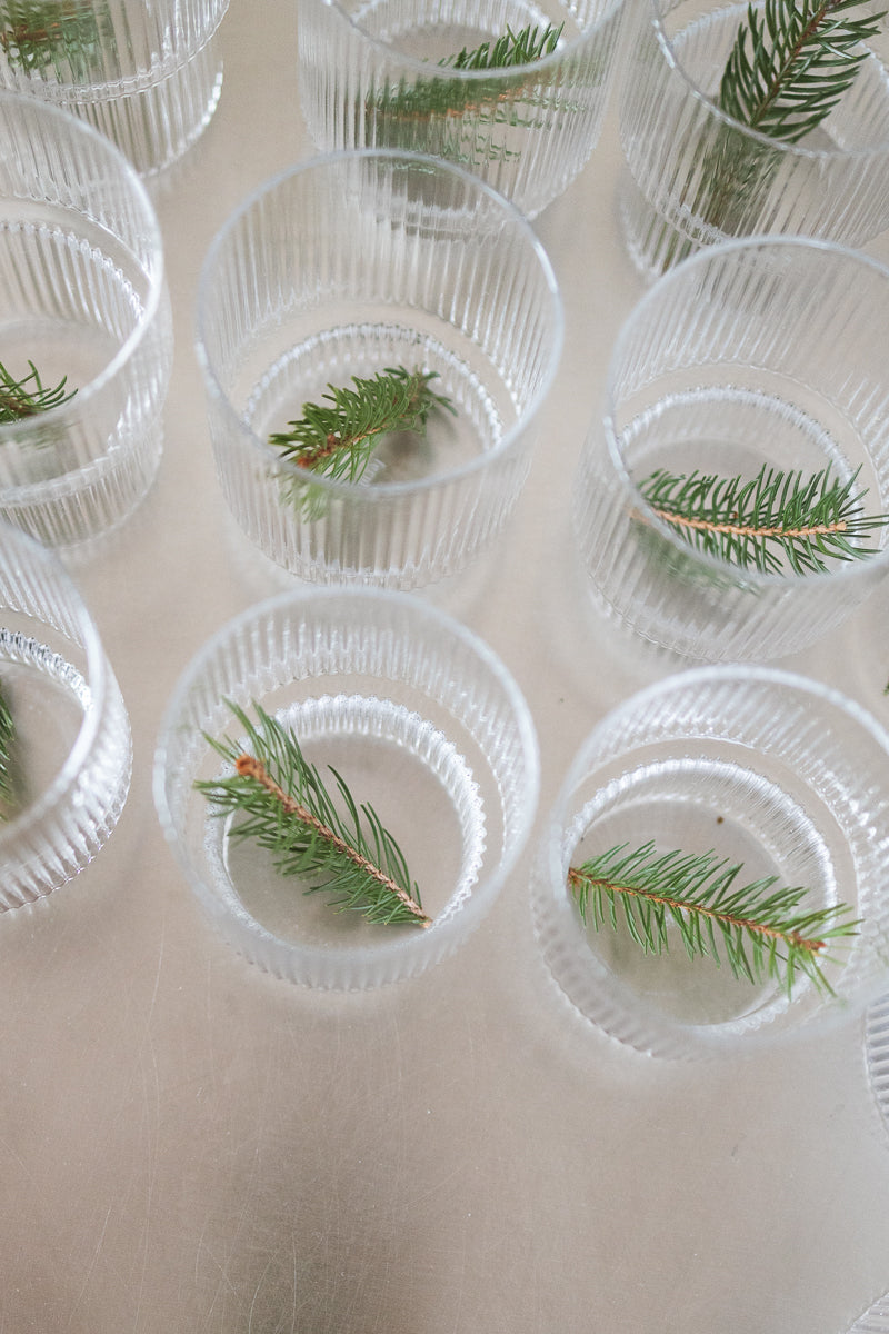 Nadelbaumkurs im Ebenrieder