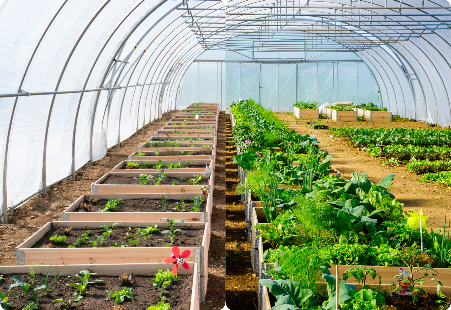 Fermentationskurs Gartencenter Kiefl