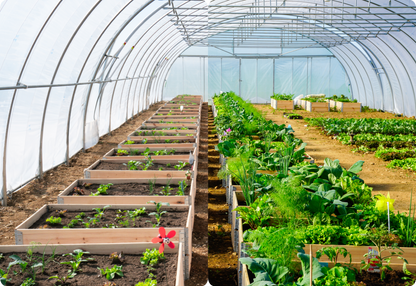 Fermentationskurs Gartencenter Kiefl